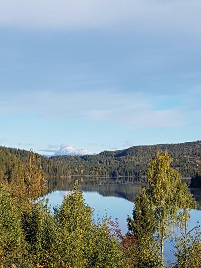 Panorama Cabin- Jacuzzi Available October 2025-May 2026 Lona Exterior foto